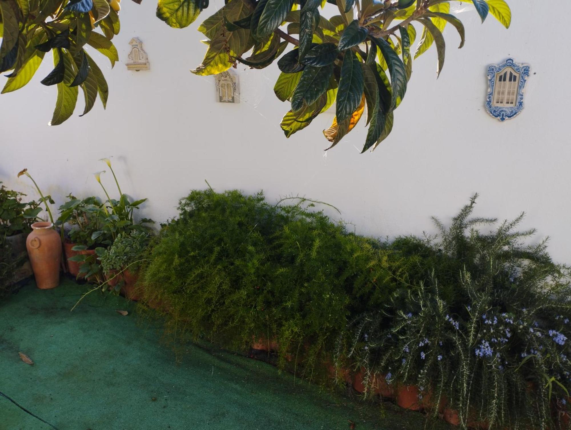 Guest house Casa Sarguito Sagres